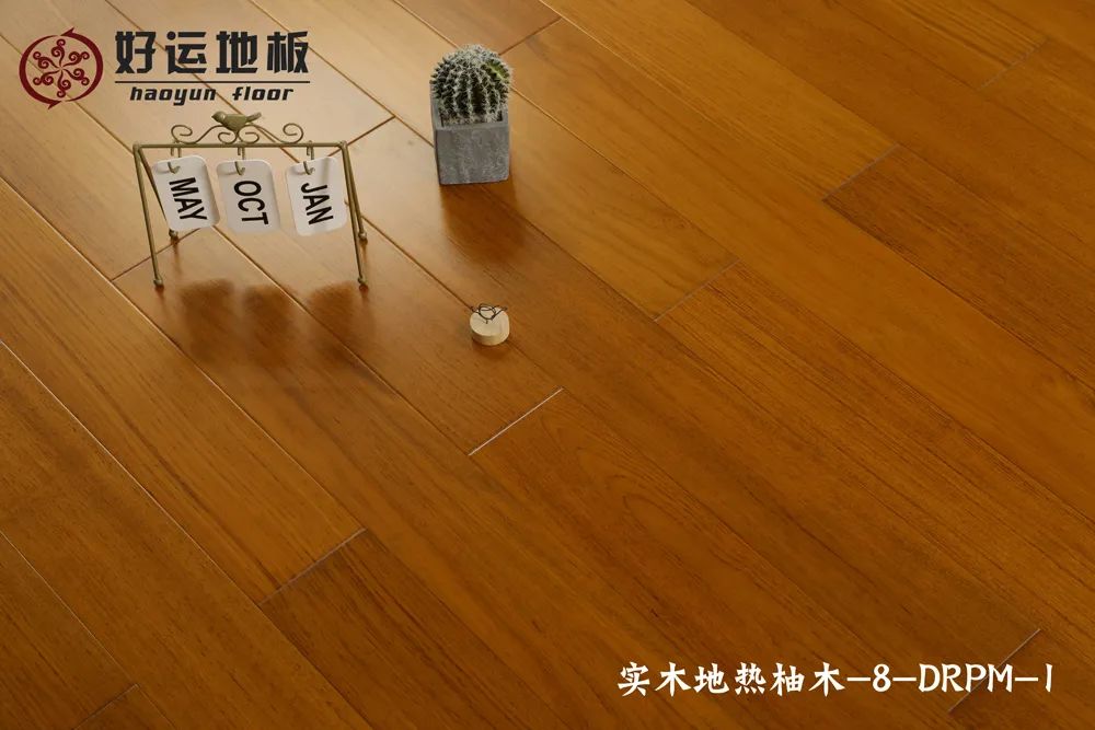 红杏APP下载3.jpg
